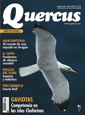 Portada Quercus 265